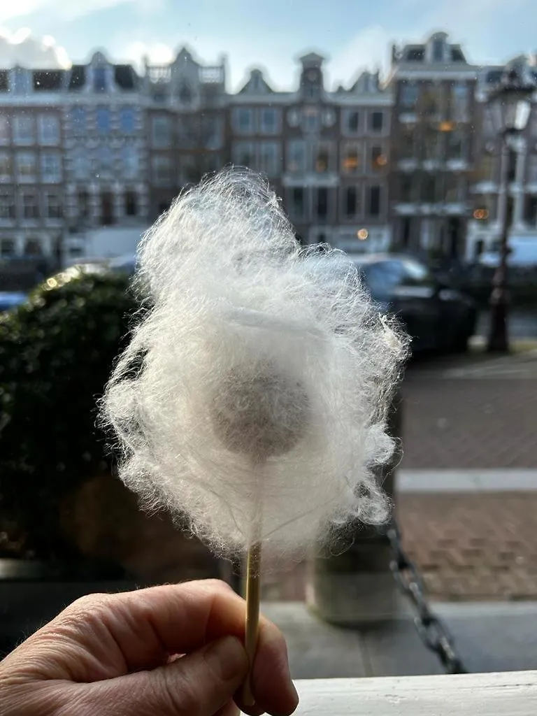 Hotel 717 Amsterdam Netherlands